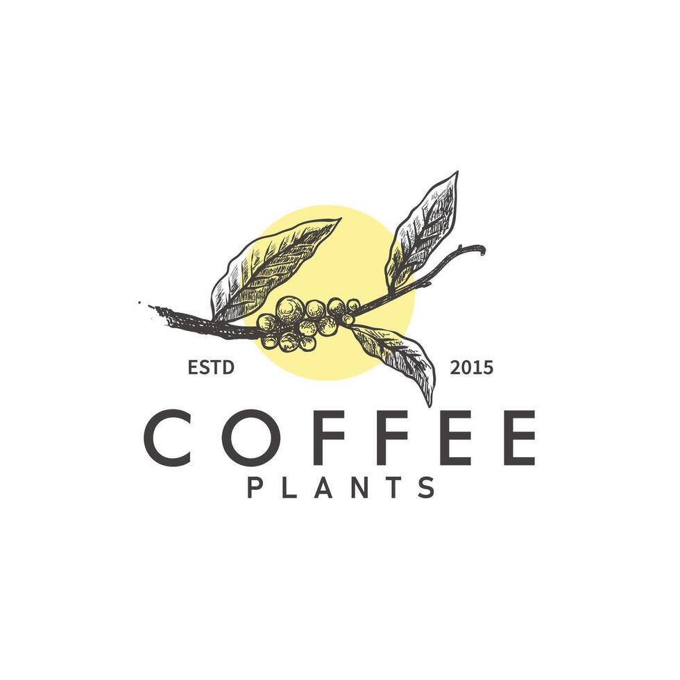 Coffee beans logo template for your creative projects and coffee branding. Isolated graphic design template, vintage hand drawn style with coffee plant illustration vector