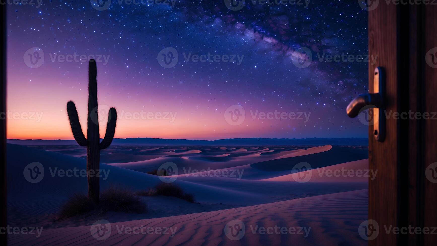 Viewing Desert Night Sky Through Open Door with Cactus Silhouette photo