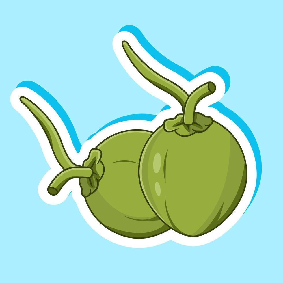 Stricker of green Young Coconuts Illustration Cartoon Design vector
