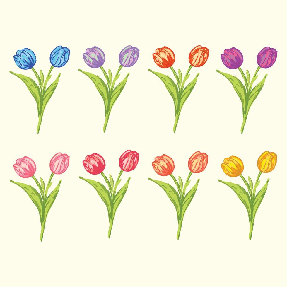 Colorful Hand-Drawn Tulip Bouquets vector