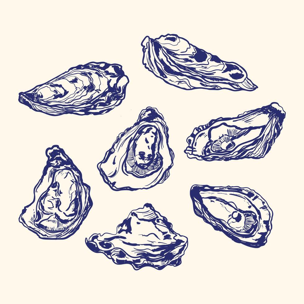 Hand-Drawn Oysters in Vintage Sketch Style vector