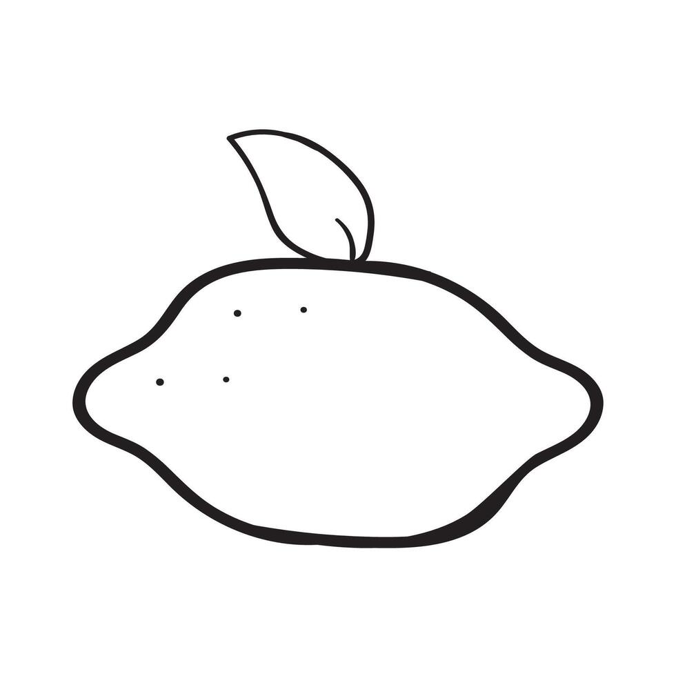 Simple outline icon. Lemon. Hand drawn design. Illustration on white background. vector