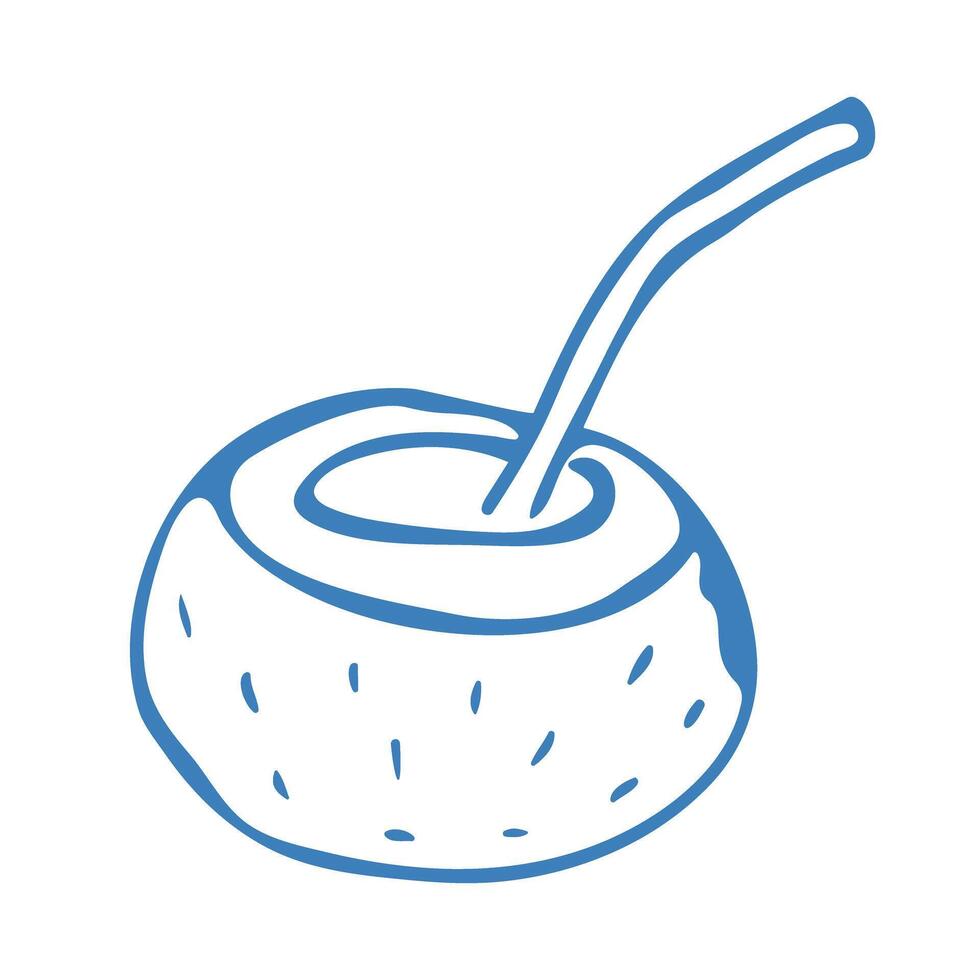 Hand drawn blue coconut in doodle style. Mediterranean summer icon, element for italian menu, wedding, print, invitation. Ink sketch design of summer beach. Flat tropical minimalist illustratio vector