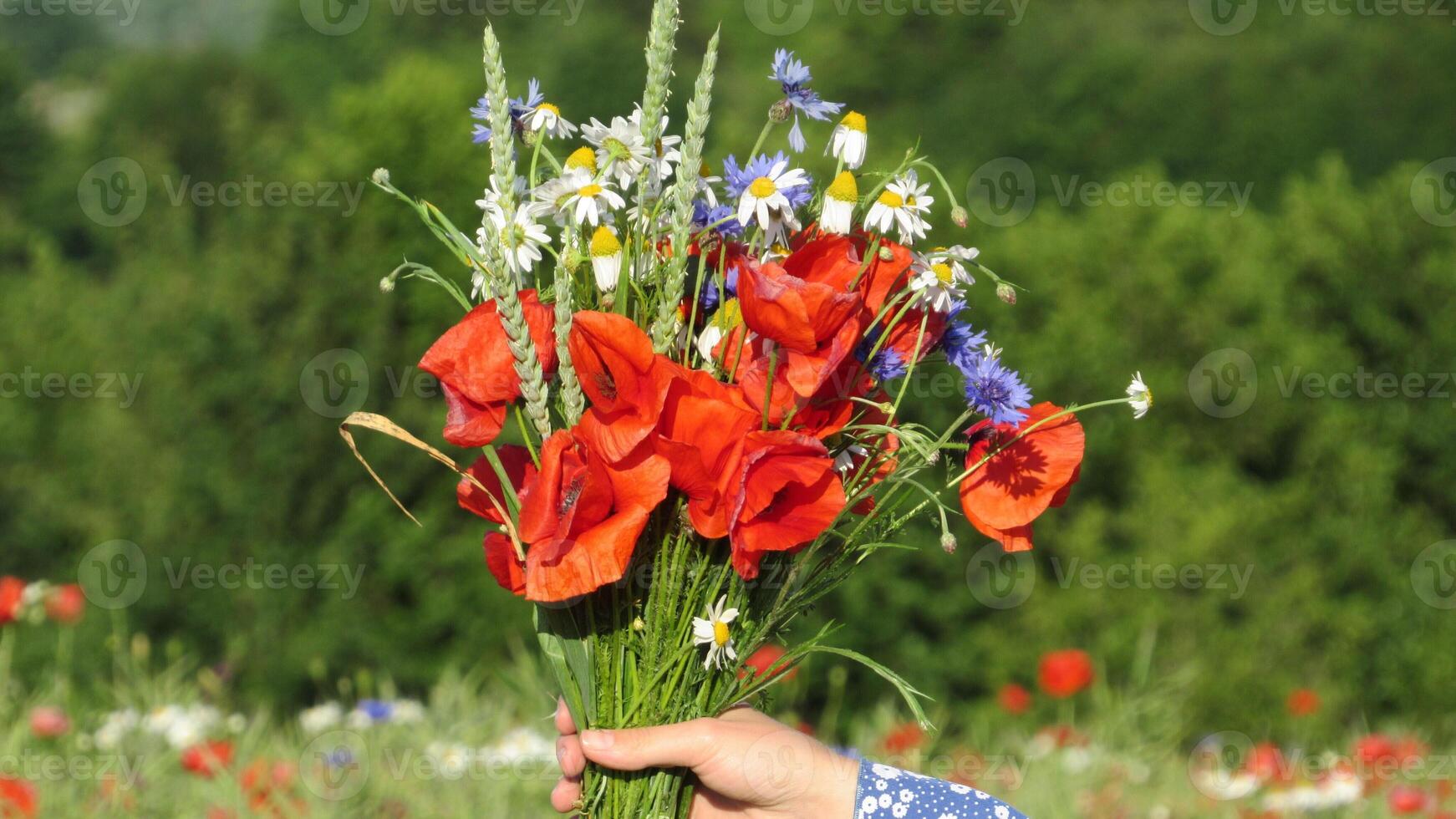 Bright Wildflower Bouquet Held in Hand Against a Vibrant Field Background During a Sunny Day in Summer photo