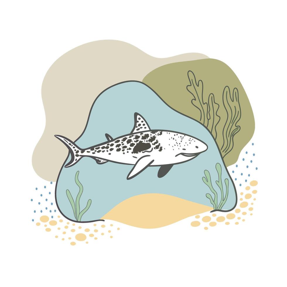 Handdrawn Illustration of a Spotted Leopard Shark in an Underwater Scene vector