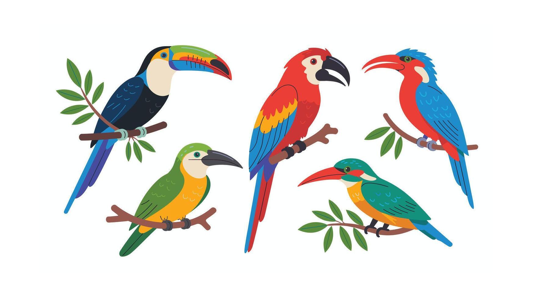 Colorful Exotic Birds Illustration Toucan, Macaw, and Kingfisher Set vector