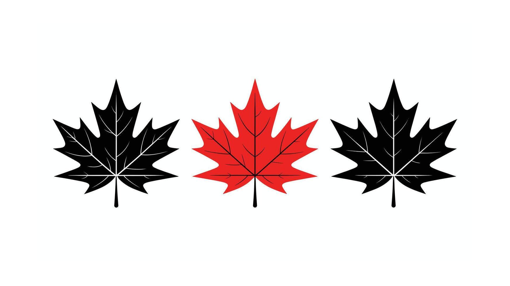 Three Stylized Maple Leaves Two Black, One Red, on White Background vector