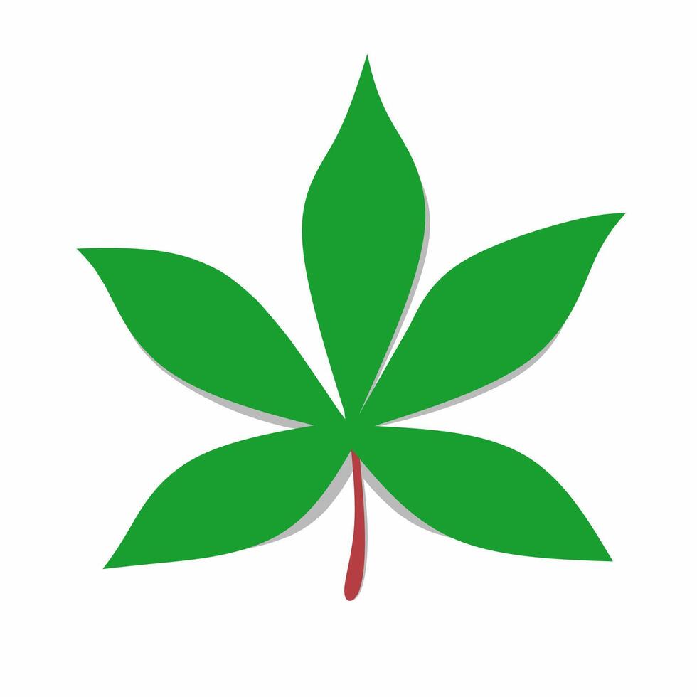 illustration of green cassava leaf with red stalk. Leaf Isolated on white background vector