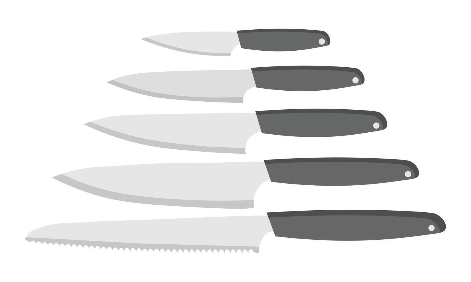Collection of Sharp and Serrated Kitchen Knives Set on a White Background vector