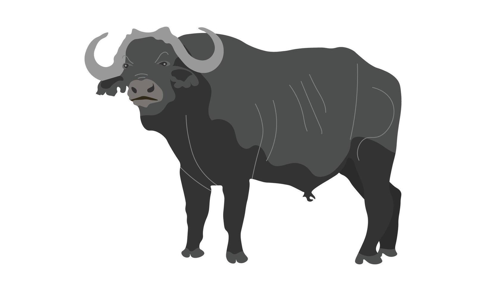 Black Bull , Grey Buffalo Illustration Isolated on a White Background vector
