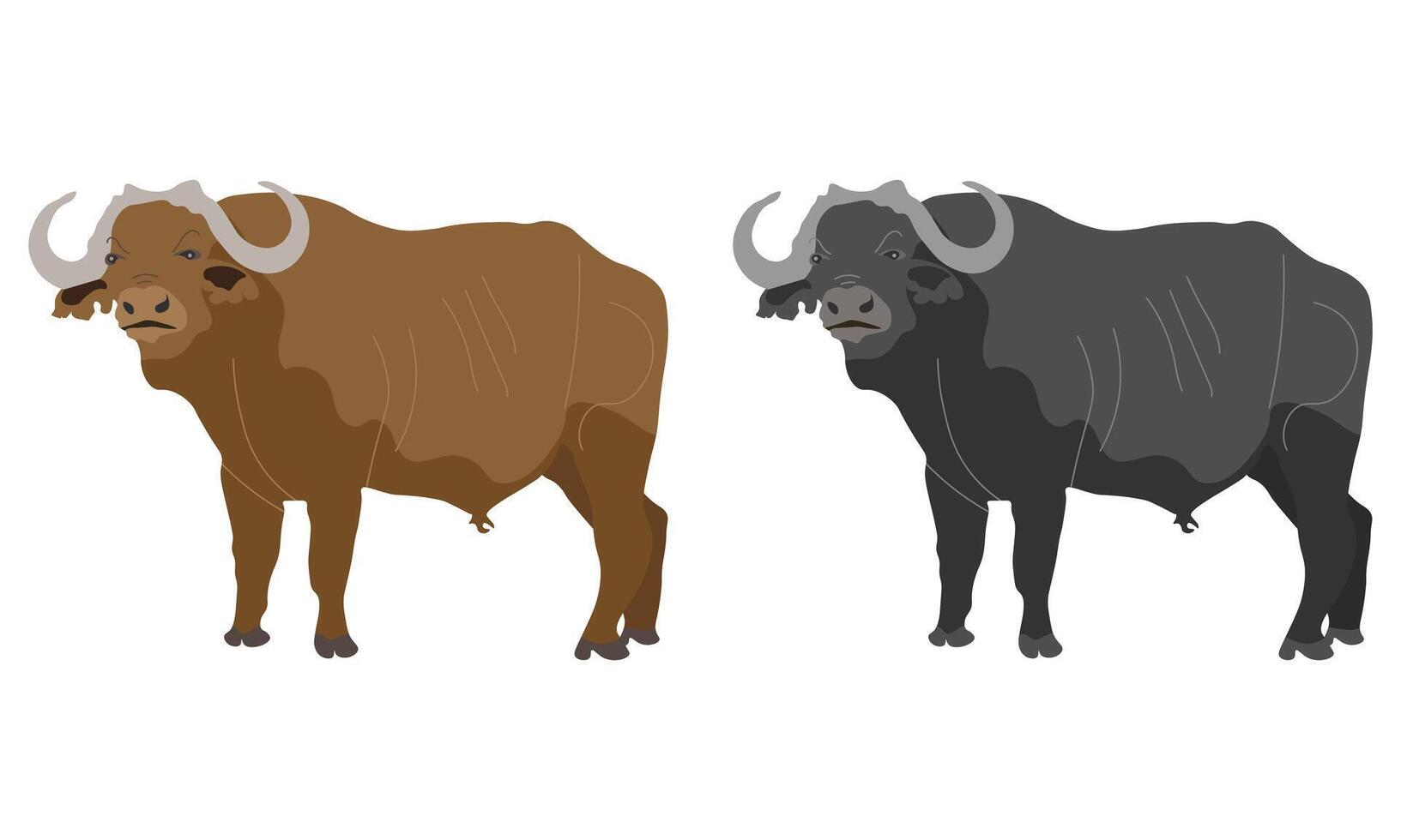Grey and Brown Buffalo Vectors, Bull Vectors, Bull and Buffalo Illustration Set on a White Background vector