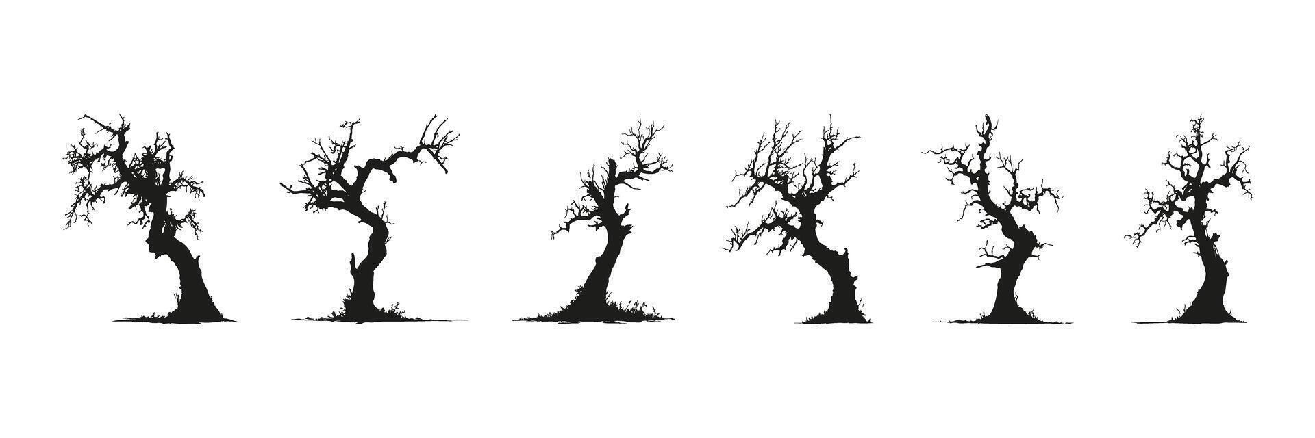 Bare Tree Silhouettes In Icon Set. Seasonal Change And Natural Environment Symbol Collection. Botanical And Educational Use. Isolated Illustration vector