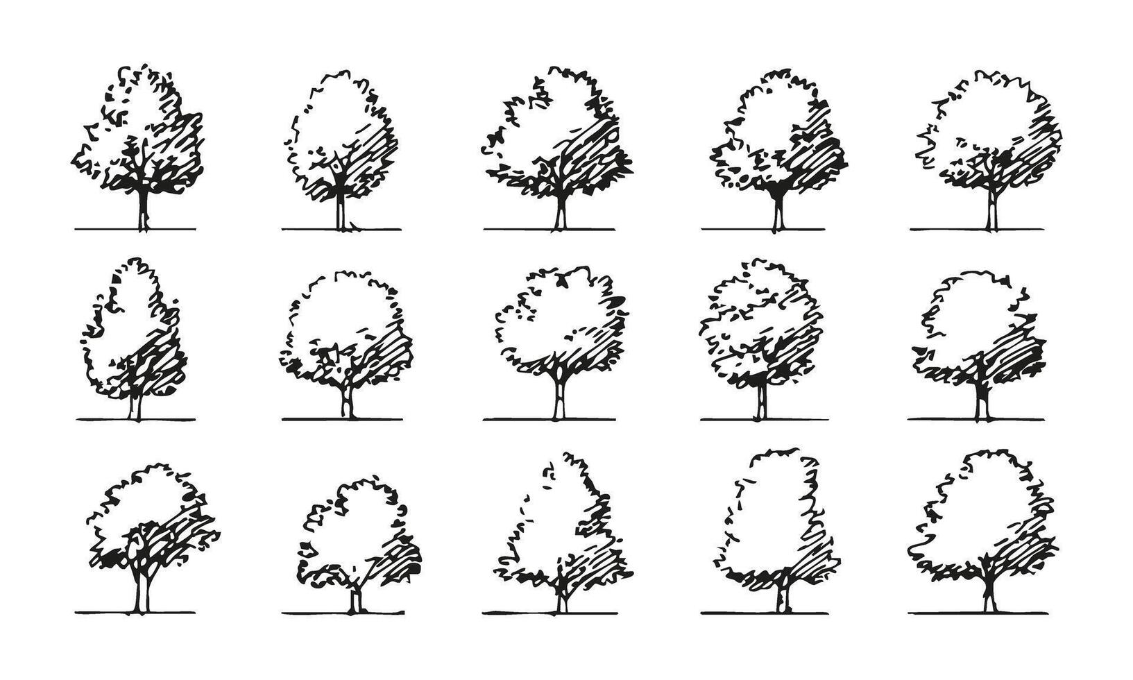 Black and White Hand-Drawn Trees Collection. Architectural and Landscape Design Elements for Planning Projects. Artistic and Natural Style. Isolated Illustration vector