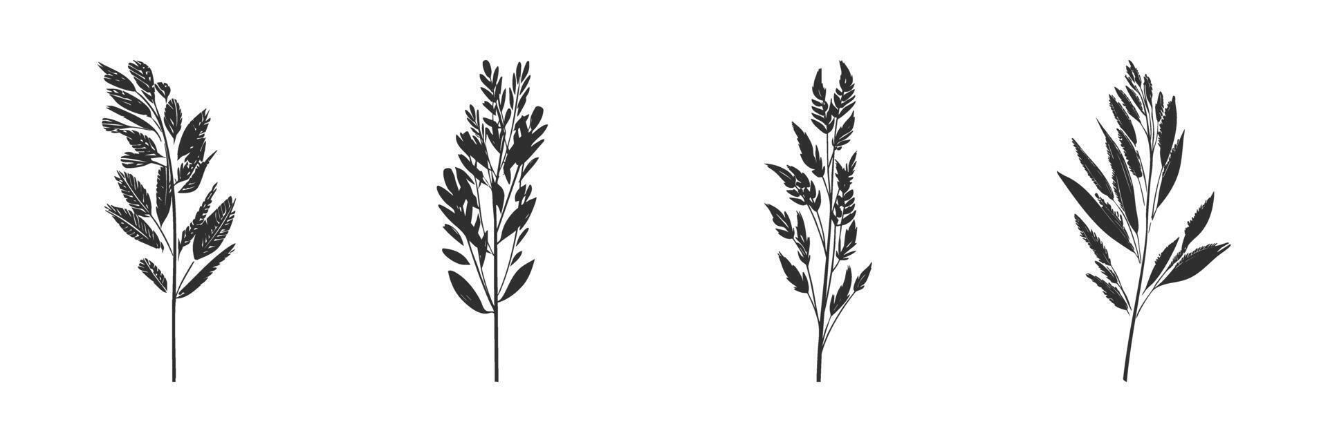 Silhouette Of Various Grass And Plant Stems. Nature And Botanical Elements Isolated Illustration Collection vector