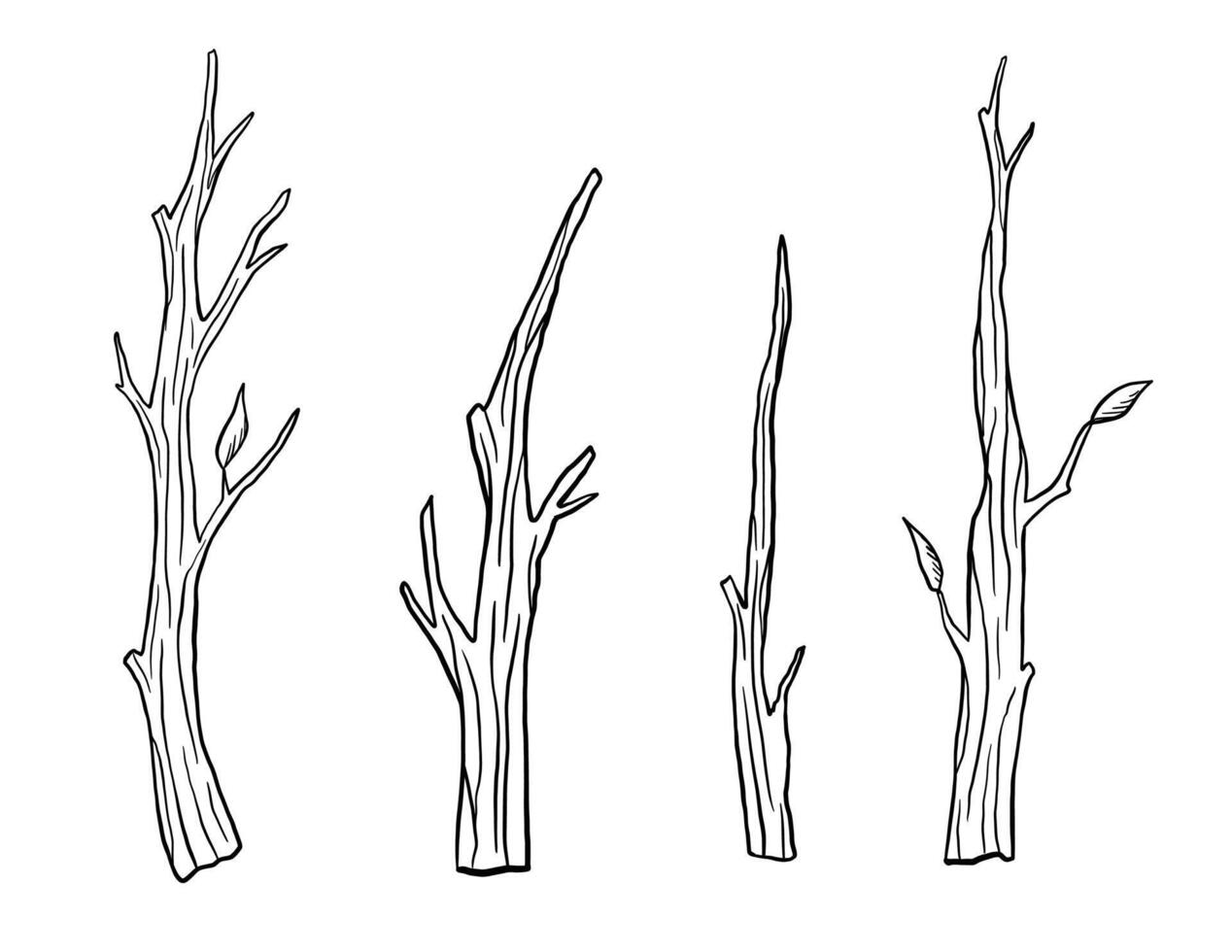 Dry tree branch sketch isolated on white background. Hand drawn illustrations set vector