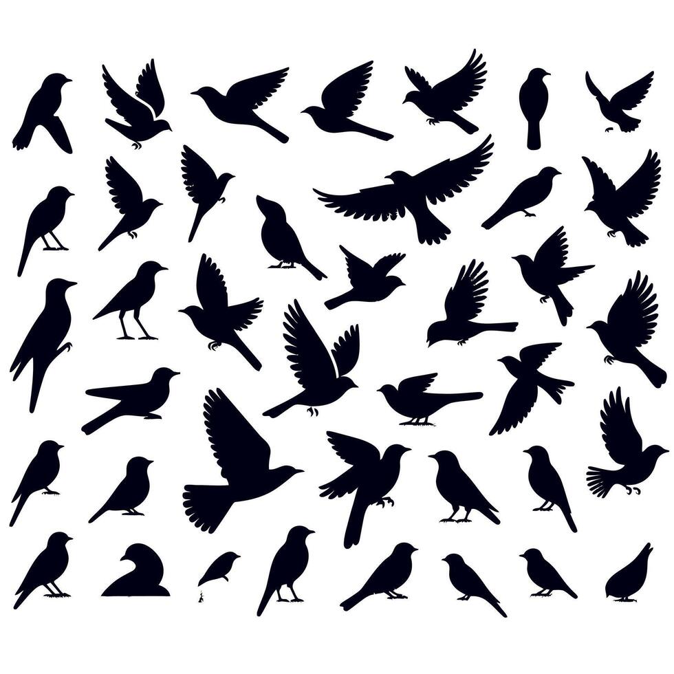 Bird Silhouettes Collection Set for Nature Design and Art Projects vector