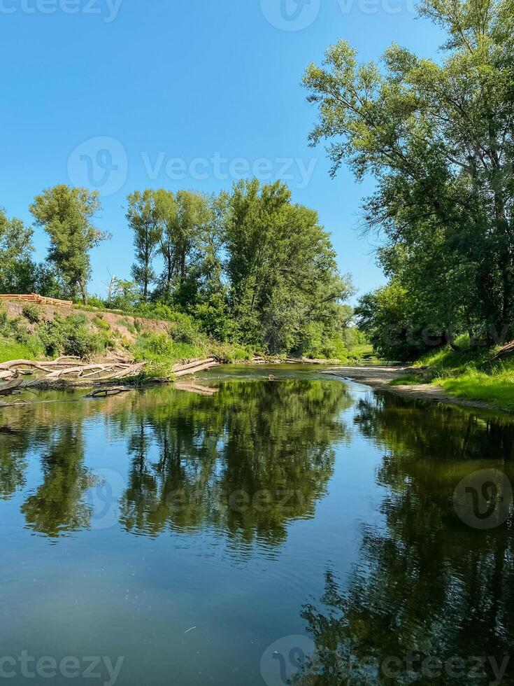 A picturesque and serene river landscape presenting lush green trees against a backdrop of a clear blue sky, offering a perfect scene for adventure and exploration in the countryside and nature photo