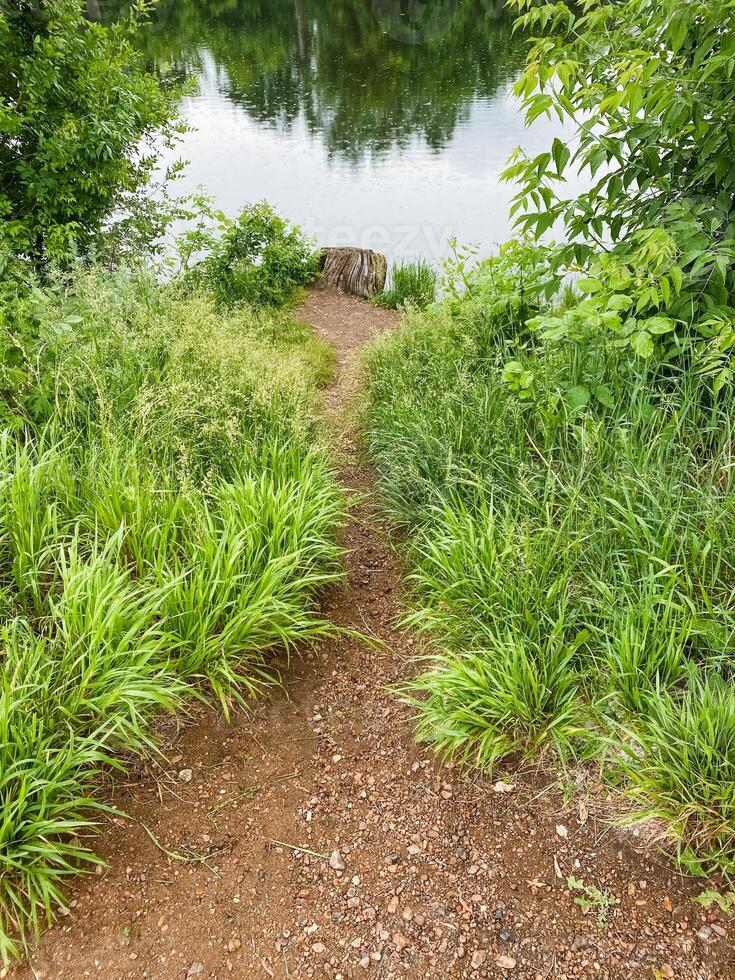 A winding dirt path winds through serene nature, leading to a tranquil body of water framed by lush greenery, vibrant grass, and diverse vegetation enriching the landscape photo