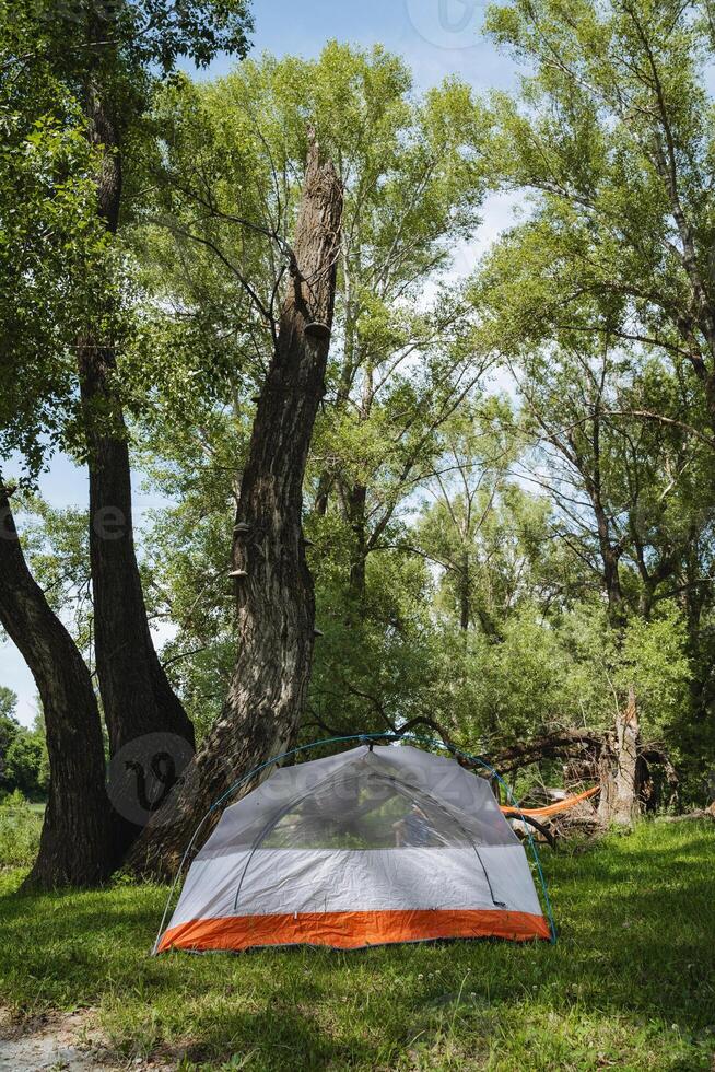 Experience the tranquility of a serene camping tent setup, surrounded by lush greenery and majestic trees, perfect for those seeking an escape into natures beautiful landscape and biodiversity photo