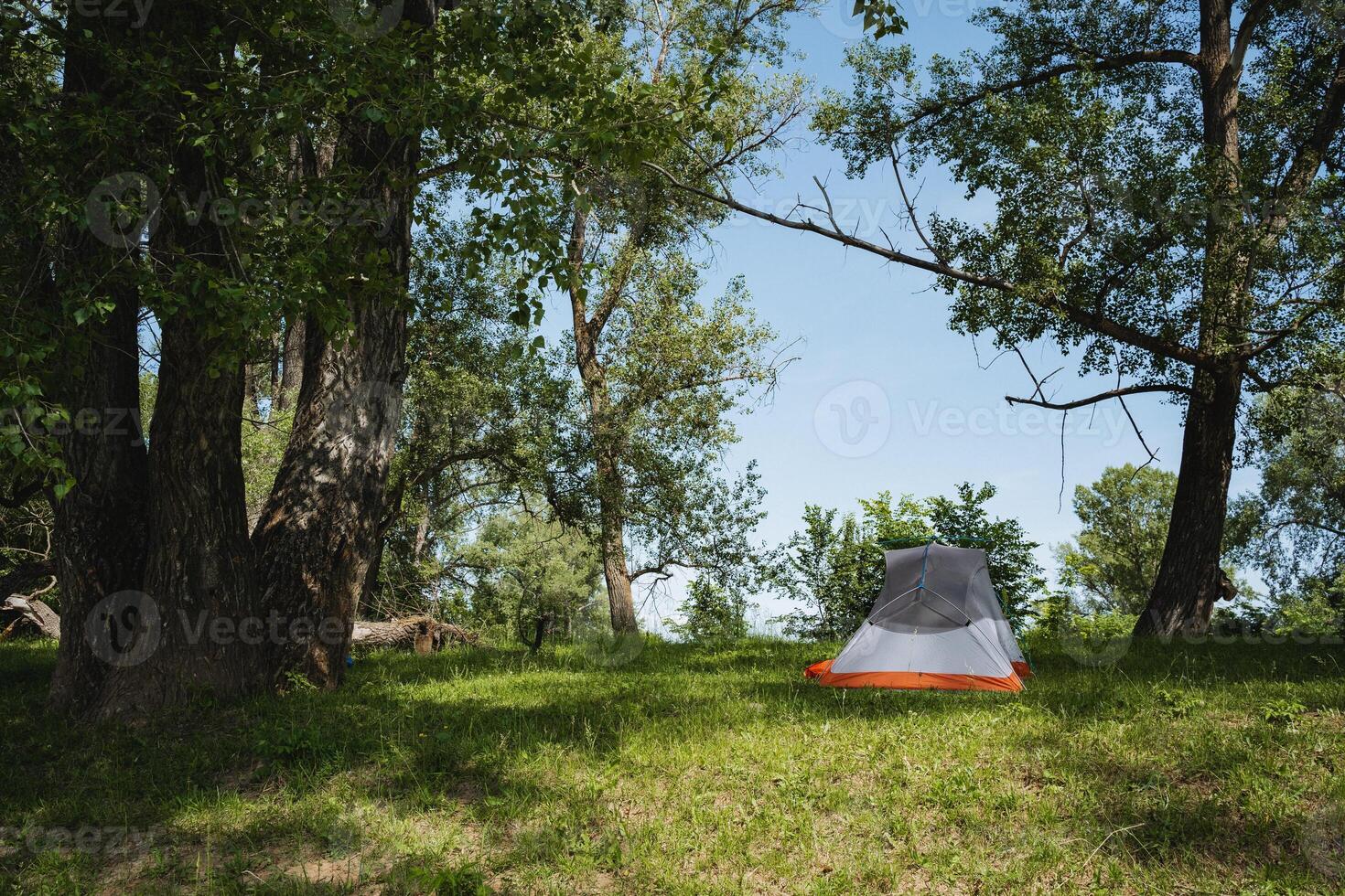 A tranquil camping scene beautifully set amidst tall, majestic trees under a bright, clear blue sky, providing a perfect backdrop for relaxation and exploration in the great outdoors photo