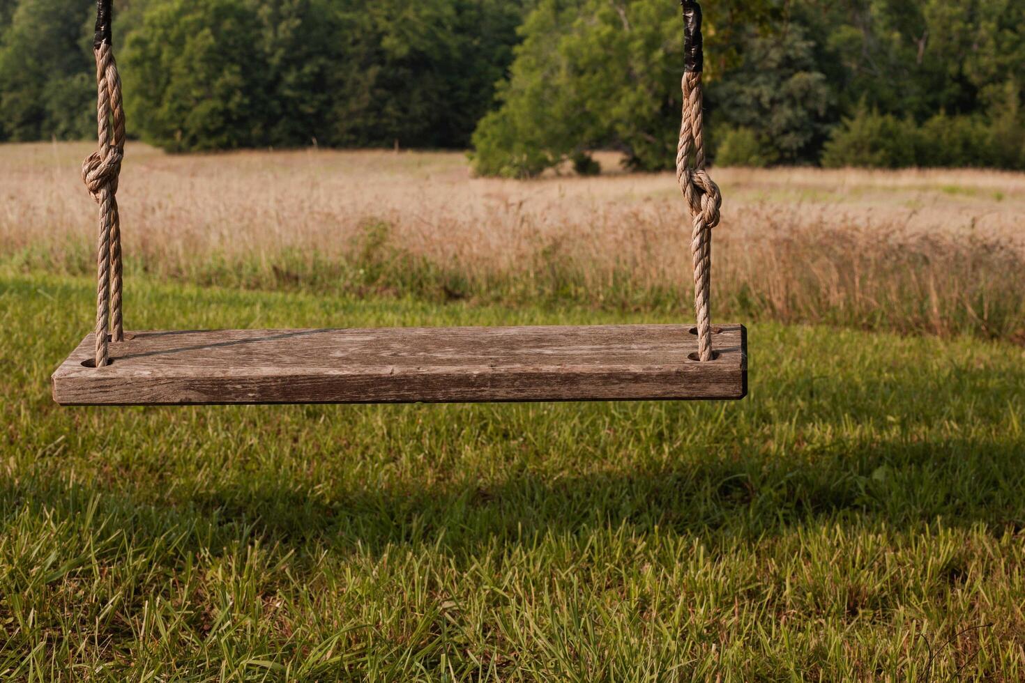 A swing hanging in a field with a tree in the background photo
