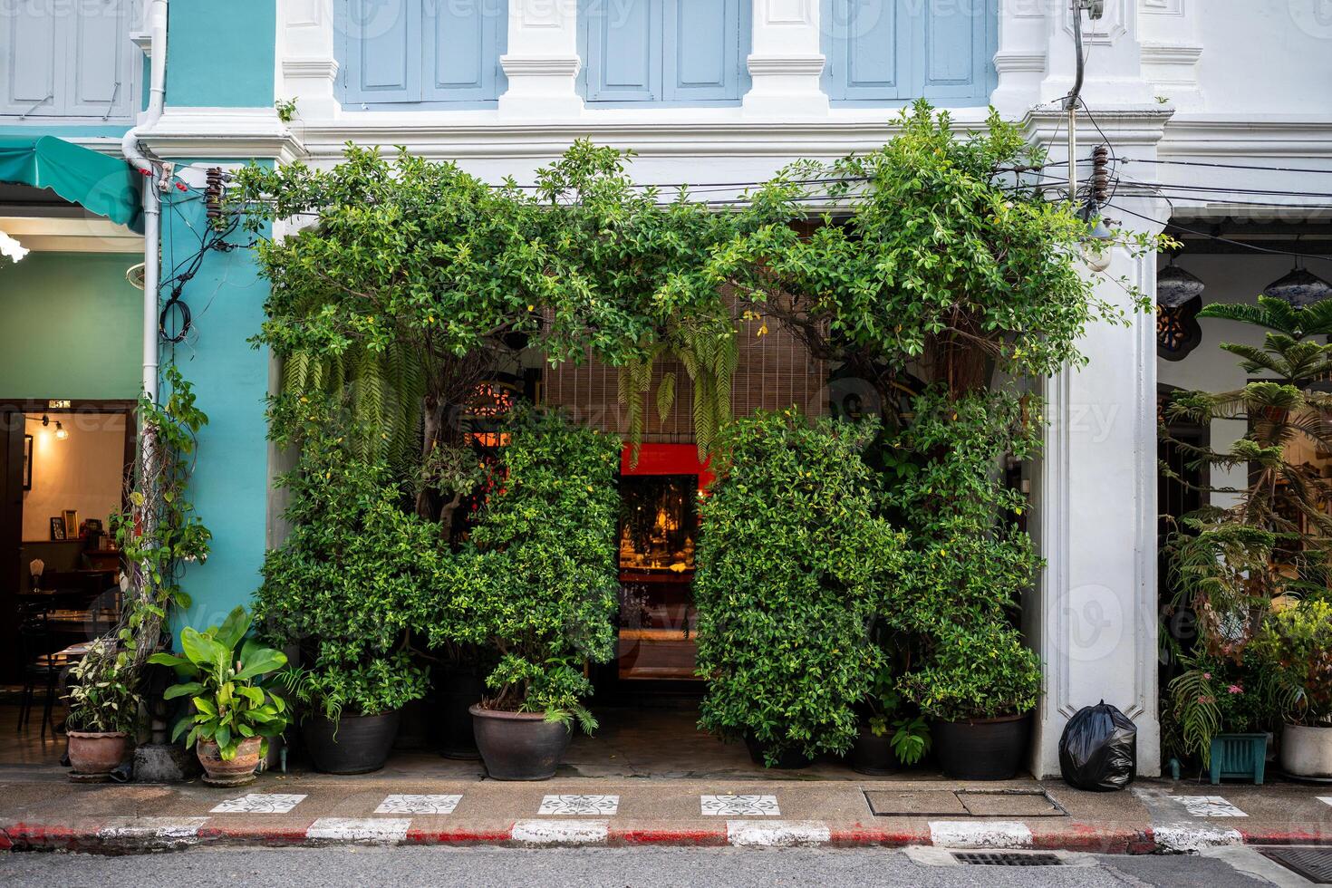 Green covered house front and street entryway decorated with vines and vegetation in Thailand photo