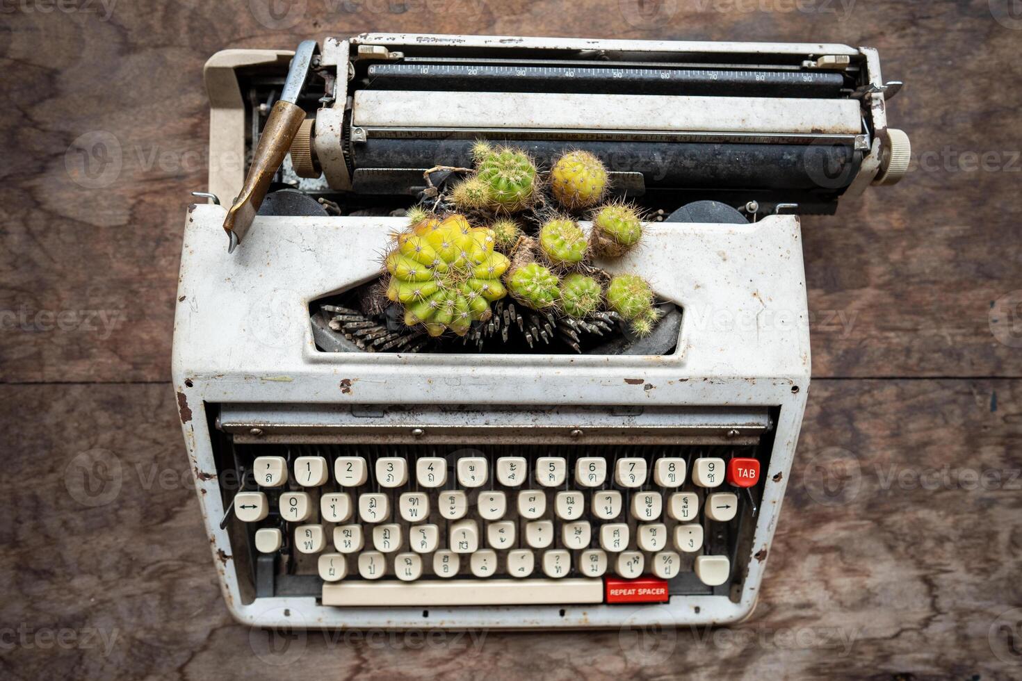 Old typewriter convert in unique cactus flowerpot Decorative reuse of antique machinery, eco idea photo