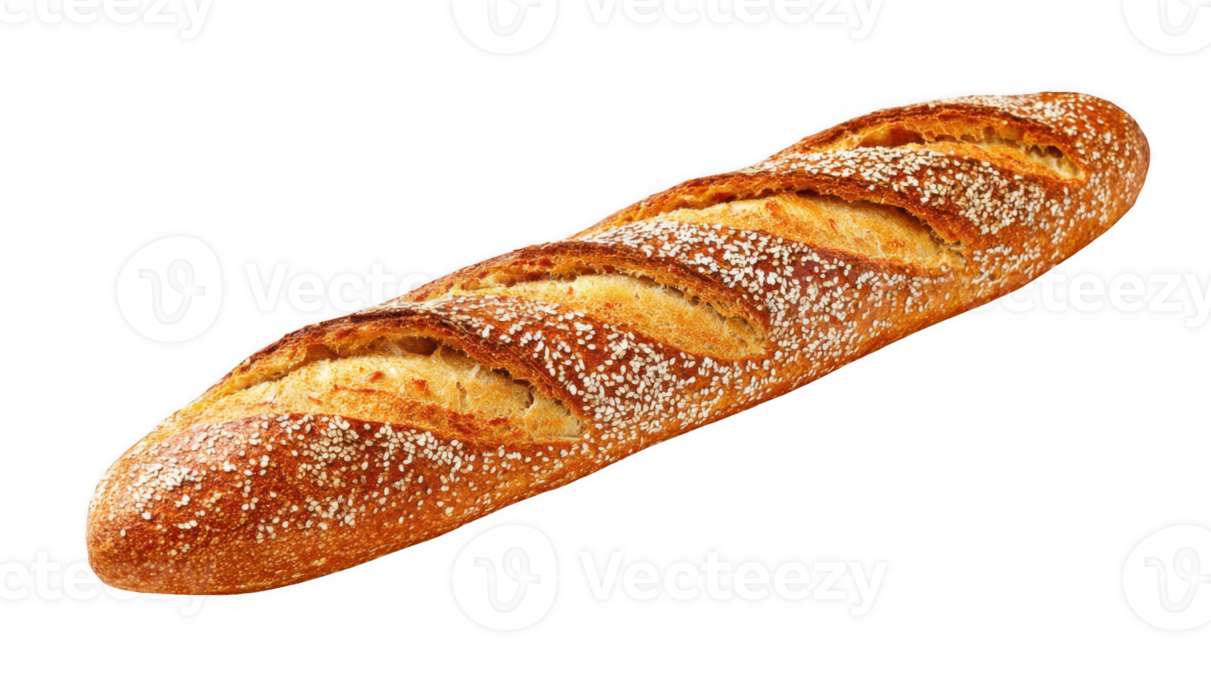 Long thin loaf of bread with crunchy surface on transparent background png