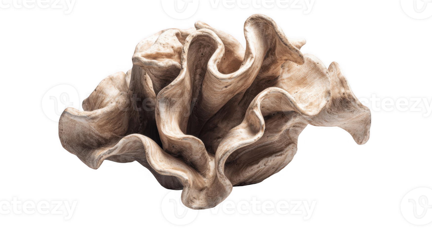 Clay sculpted into a unique abstract form with transparent background png