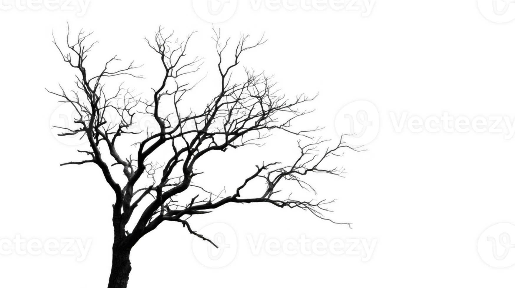 Charred tree silhouette against transparent background png