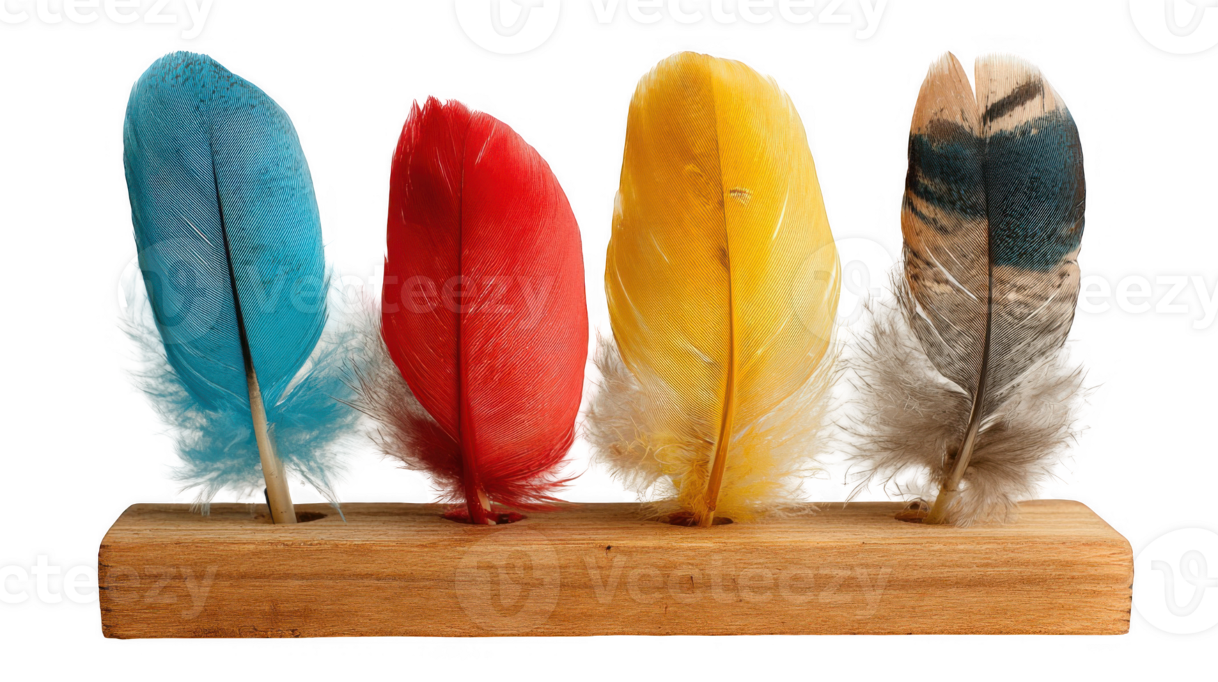 Four brightly colored feathers resting on wooden base with transparent background png