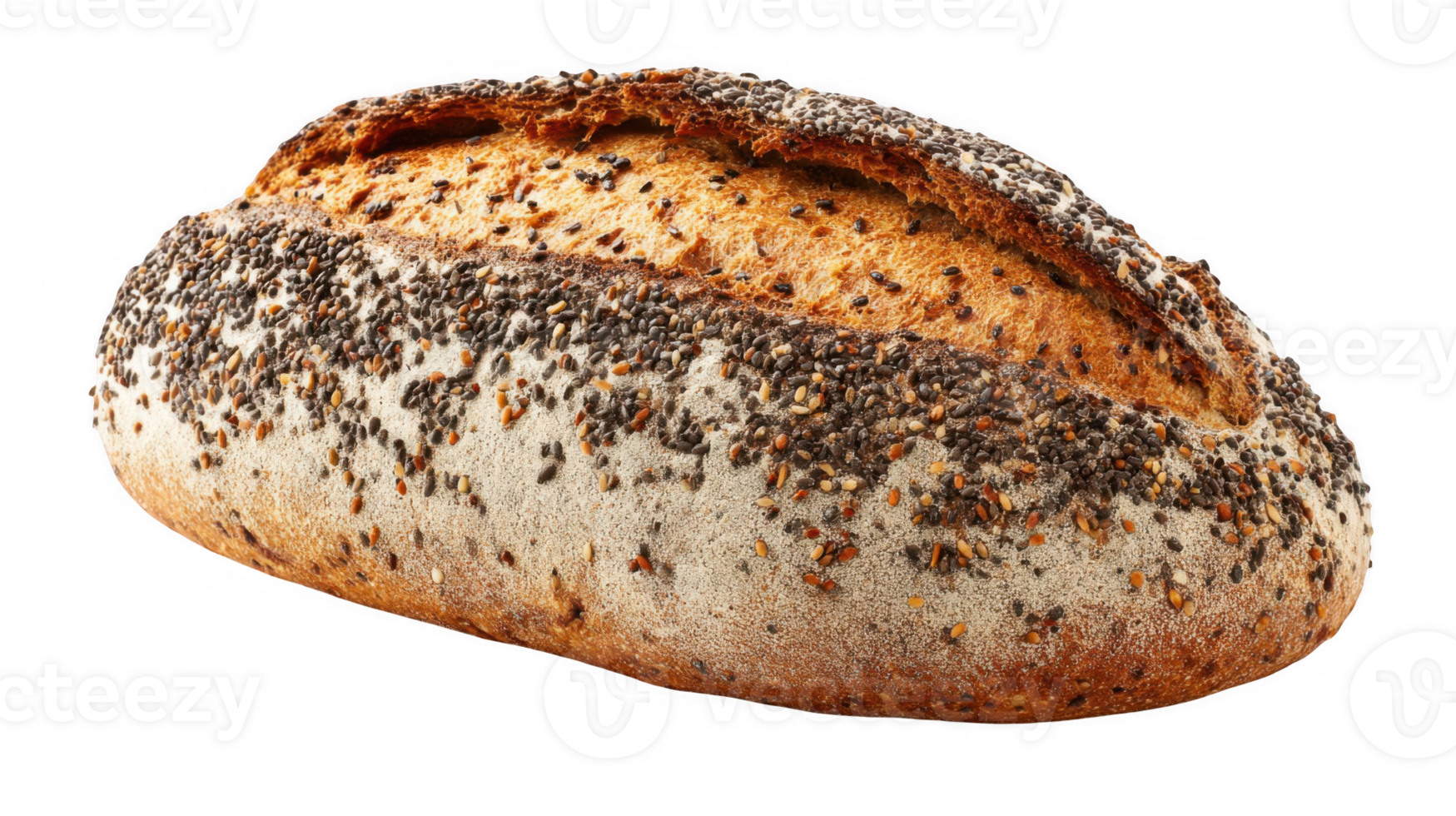 Freshly baked seed studded sourdough bread with rustic texture on transparent background png