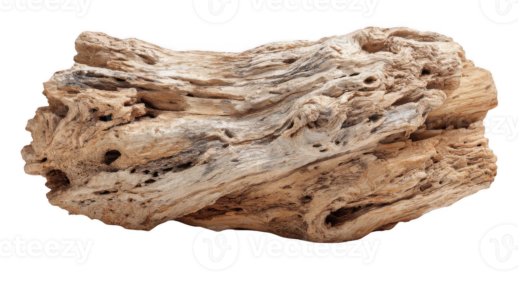 Weathered driftwood piece showing intricate textures on transparent background png