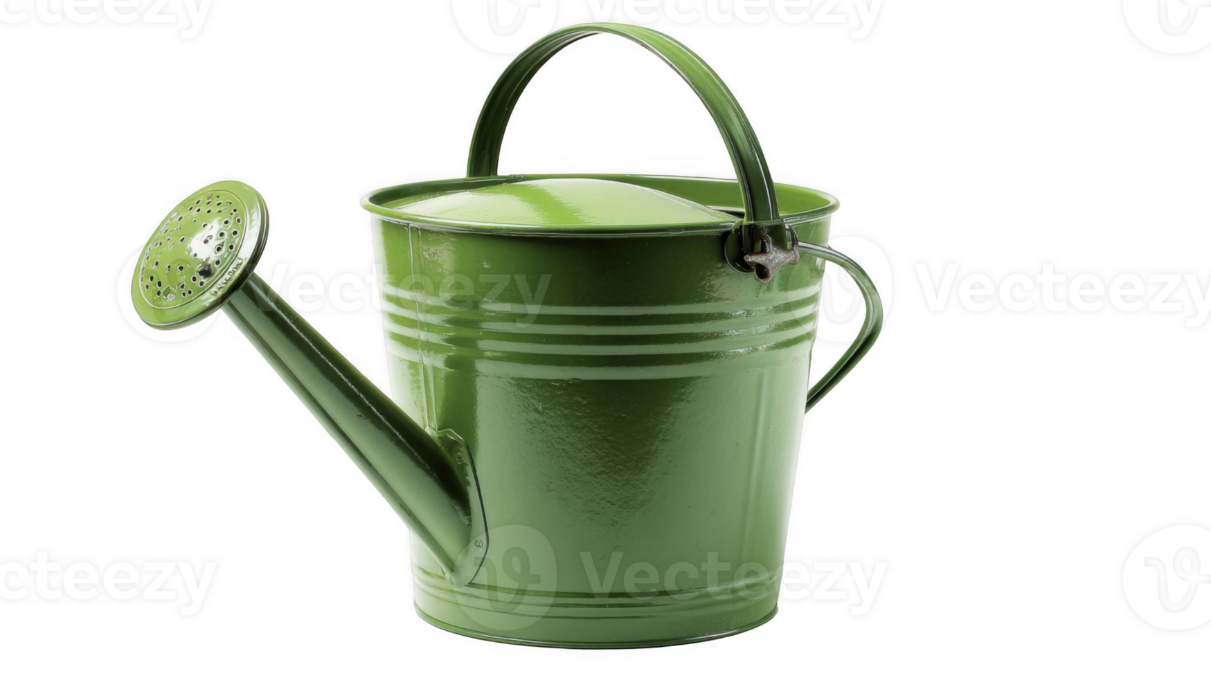Green watering can on transparent background for gardening png