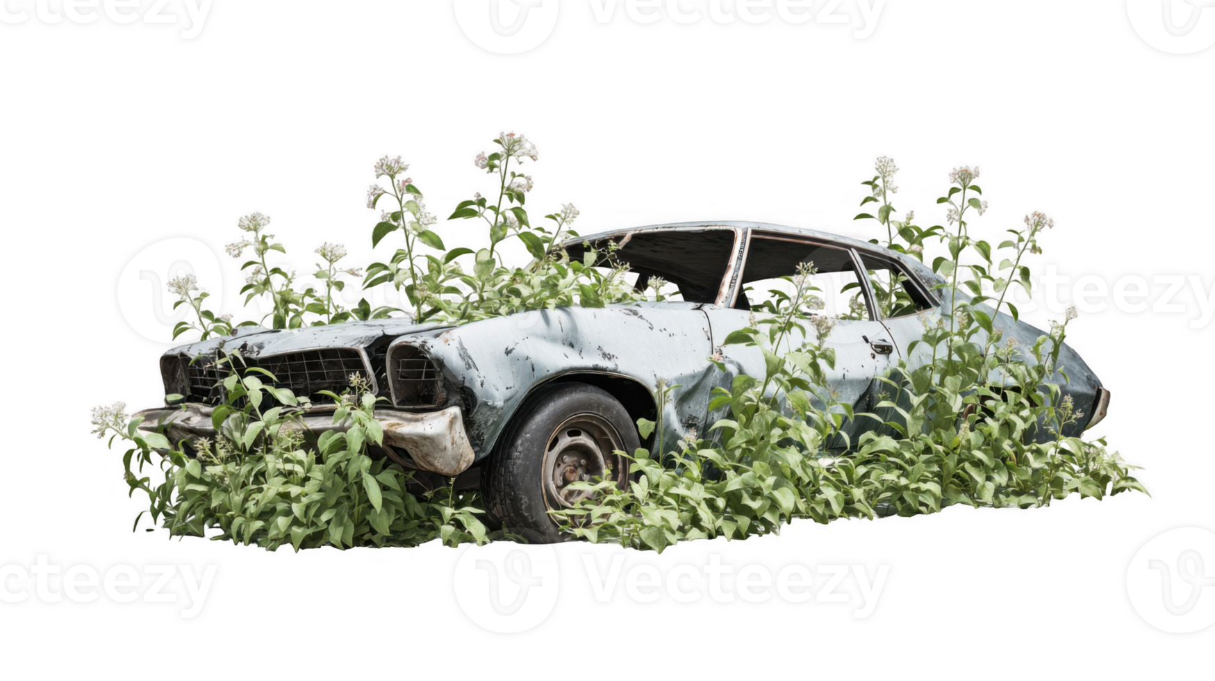 Wrecked car consumed by nature on transparent background png