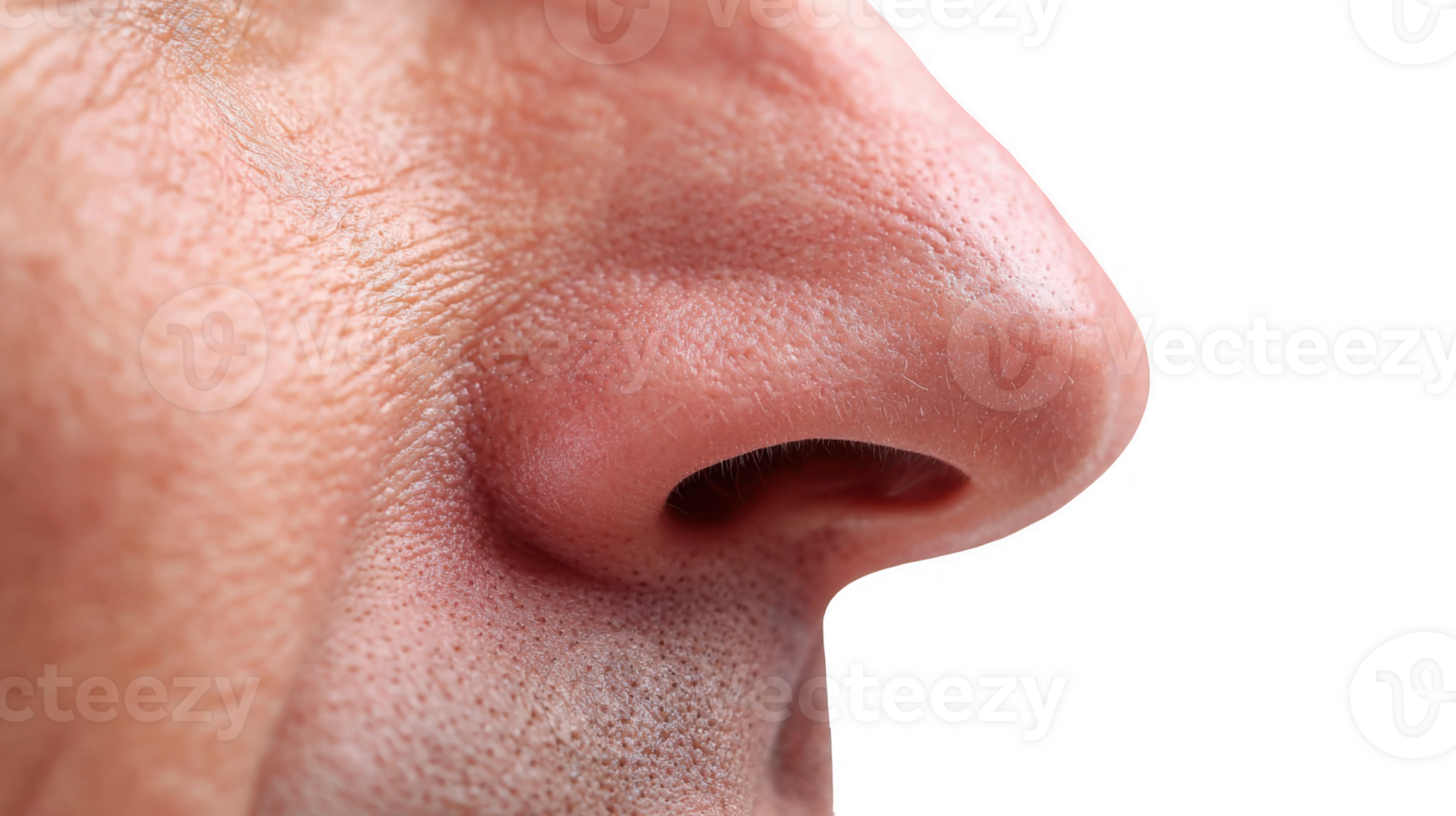 Close up of chapped nostrils showing dry skin on transparent background png