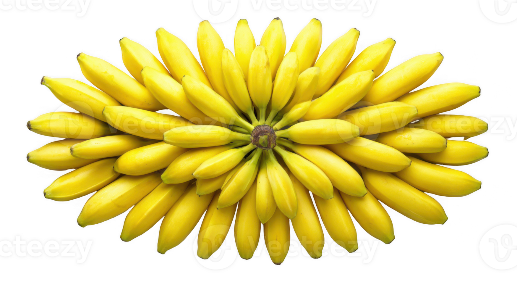 Bunch of bananas creating a sunburst design on transparent background png