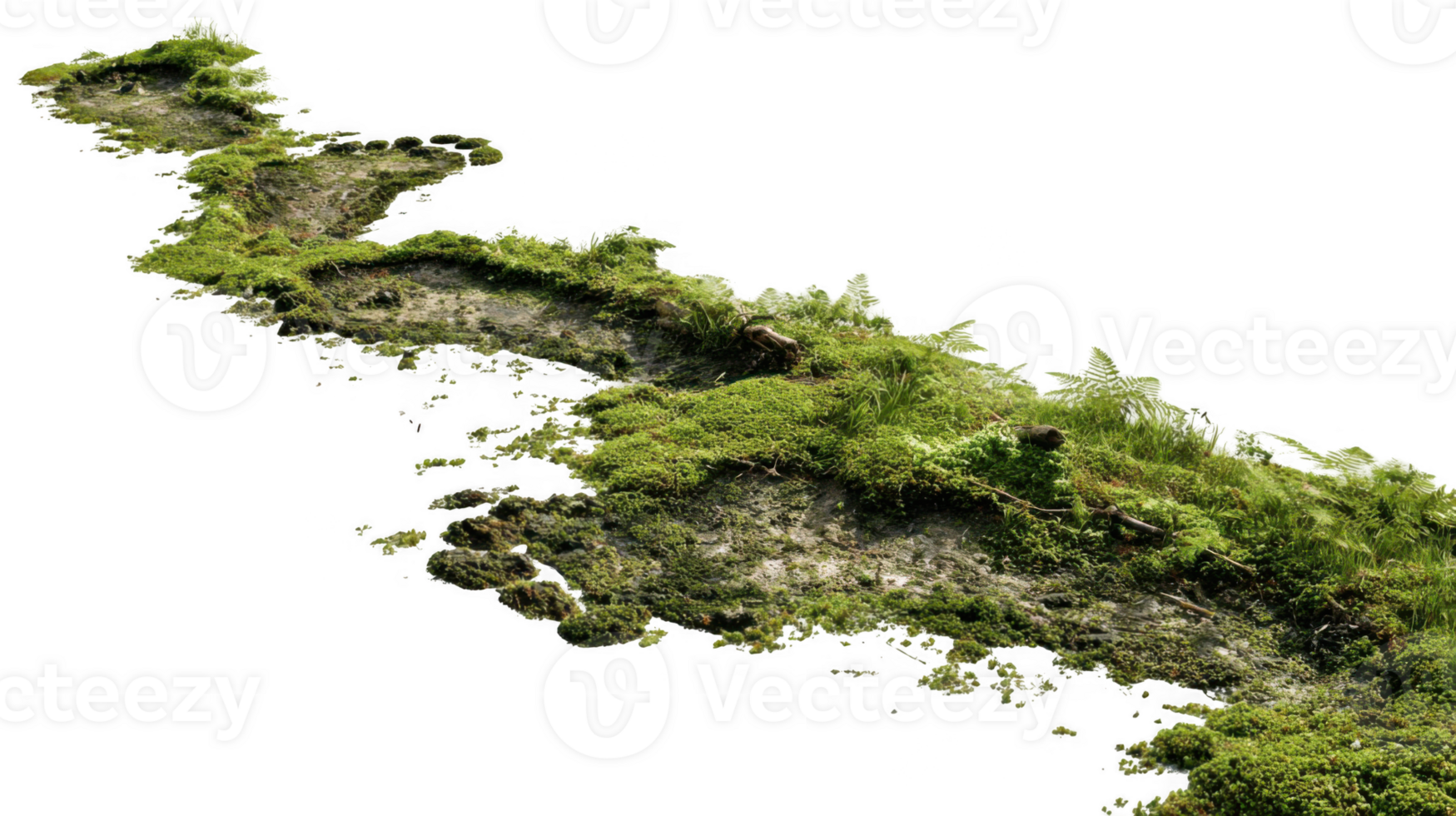 Footprints marking a damp mossy forest trail with transparent background png