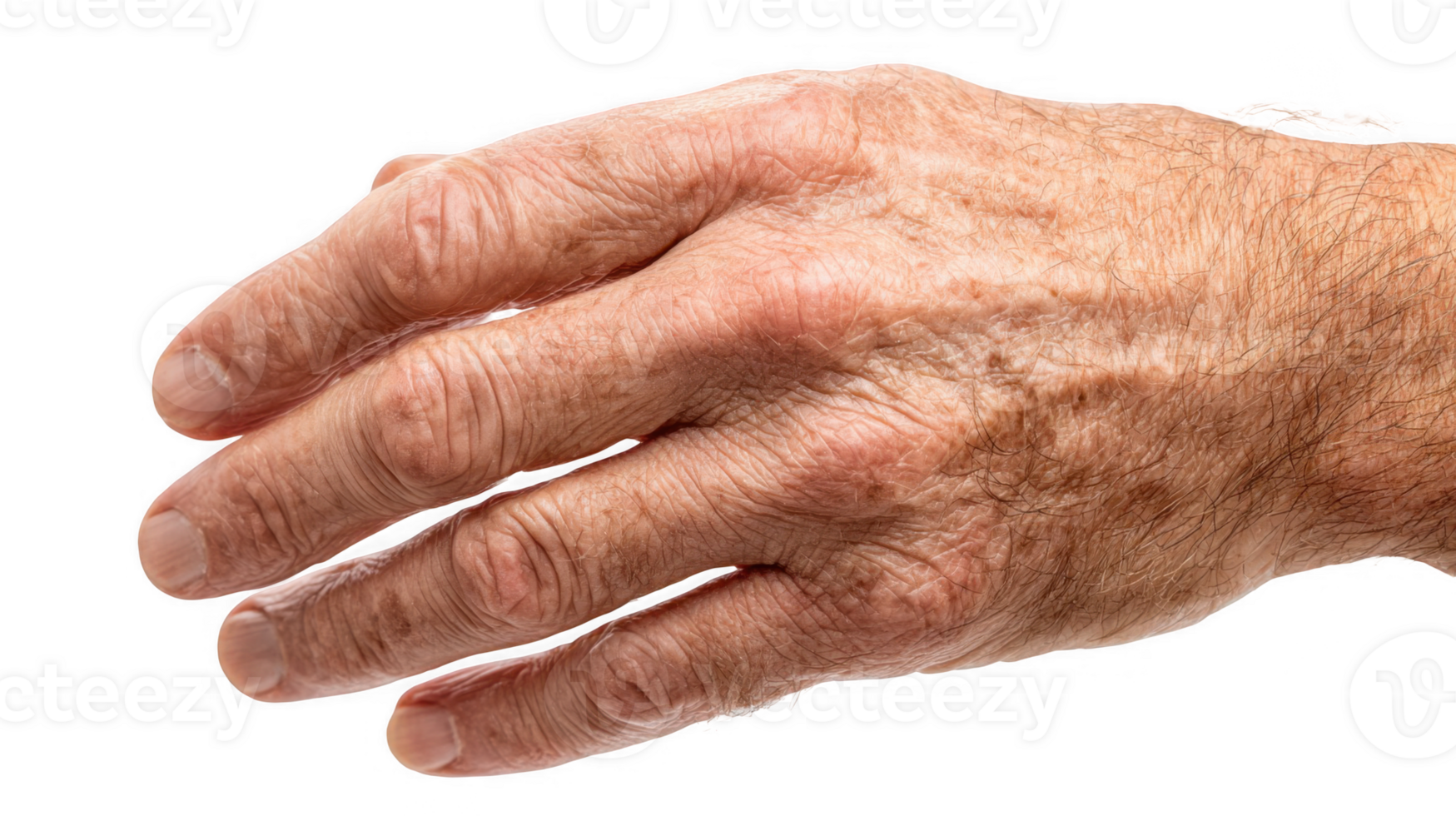 Wrinkled hand showing aging process on transparent background png