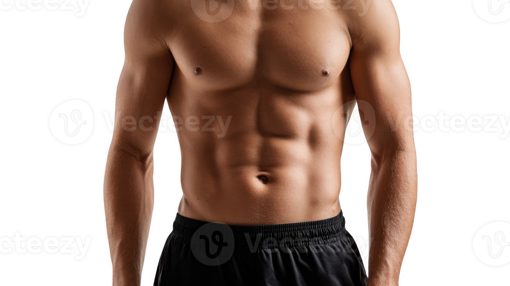 Muscular torso of a fit man showing defined abs on transparent background png