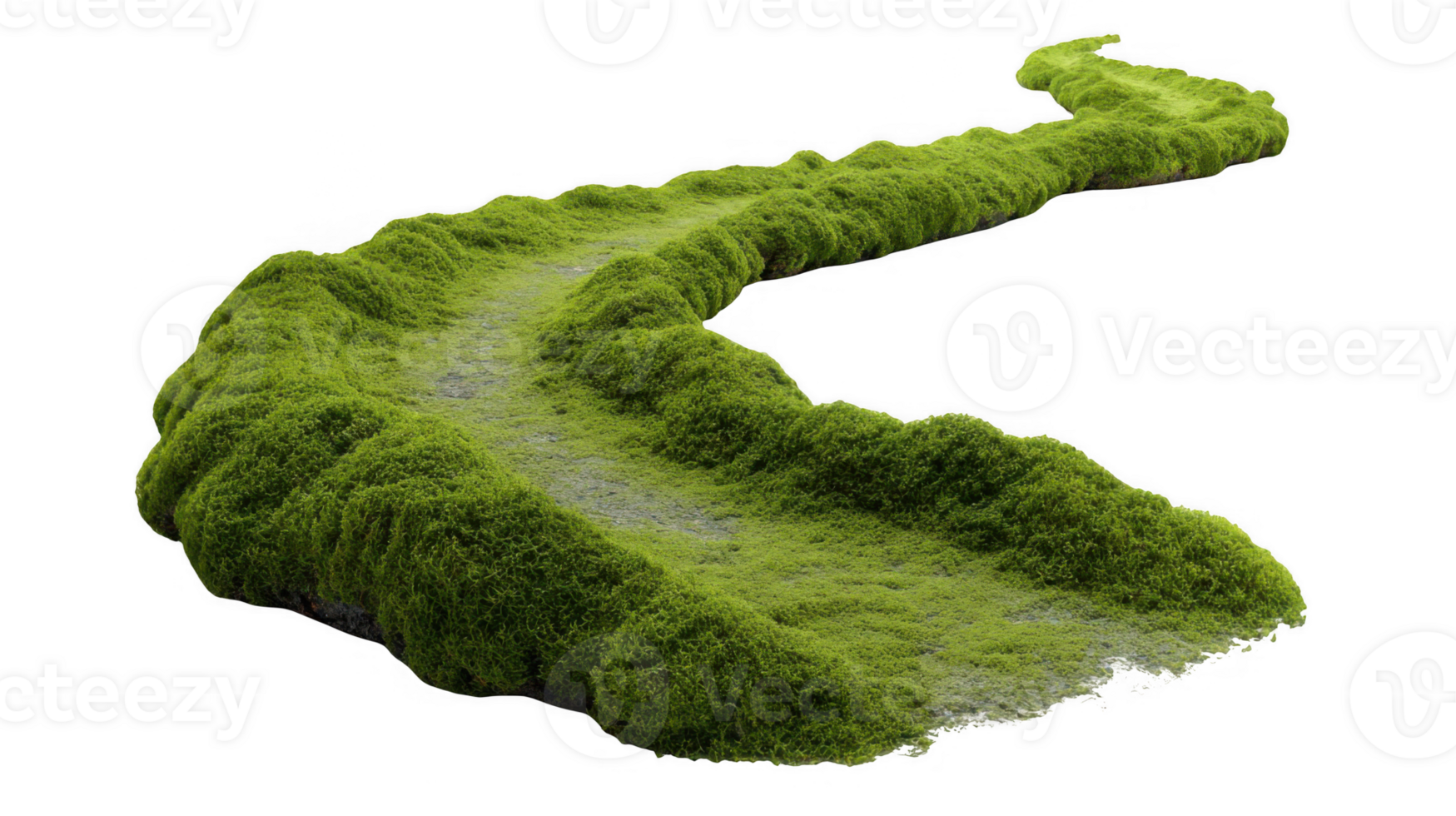 Winding mossy path isolated on transparent background png