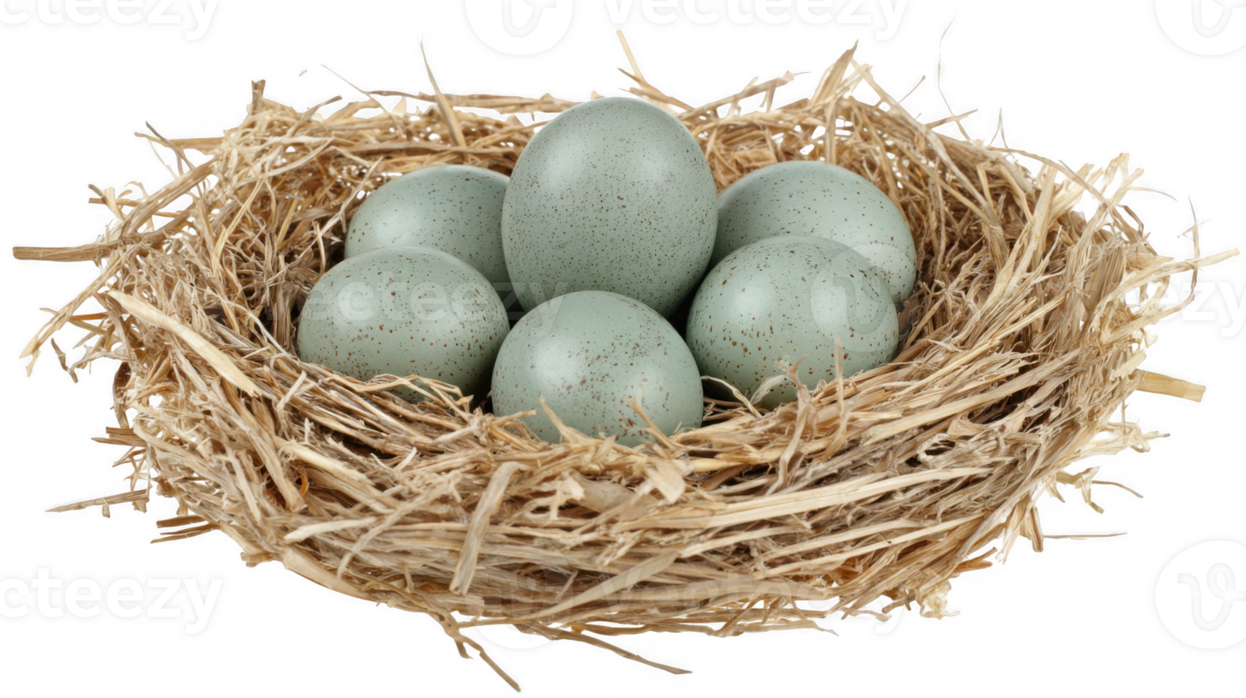 Cluster of green eggs nestled in straw bird nest on transparent background png
