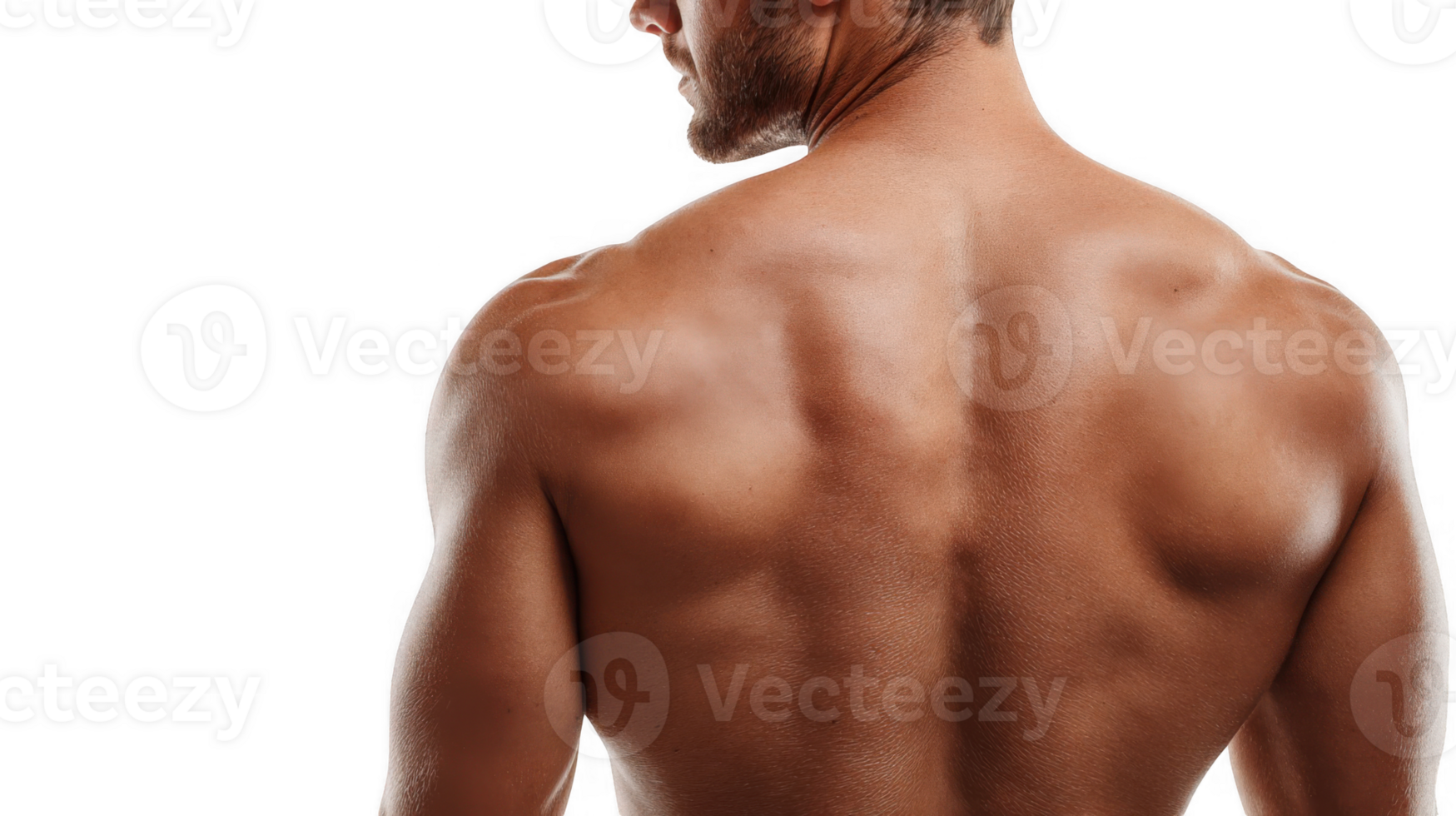 Muscular man showing his back on transparent background png