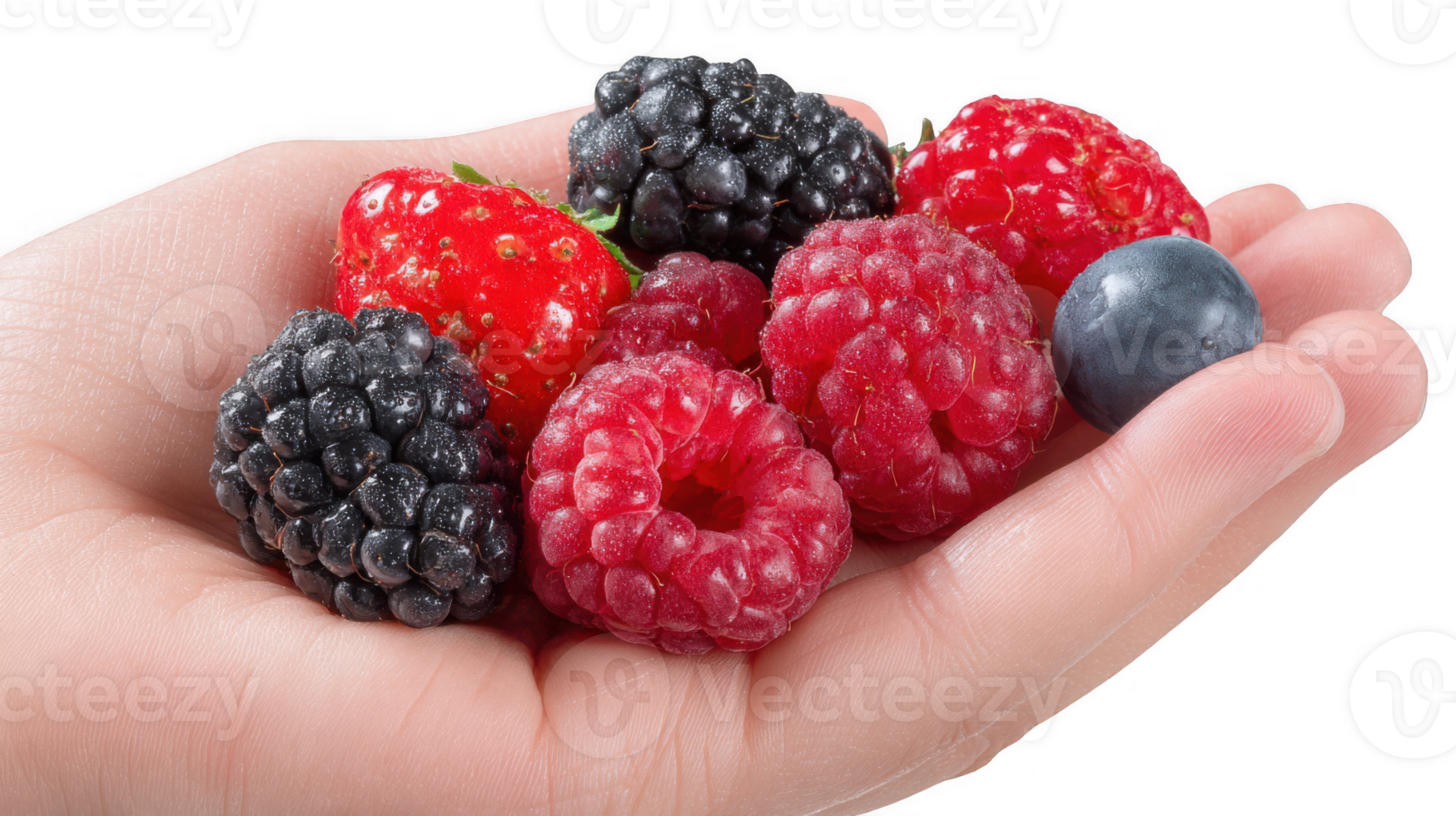 Hand holding freshly picked mixed berries on transparent background png