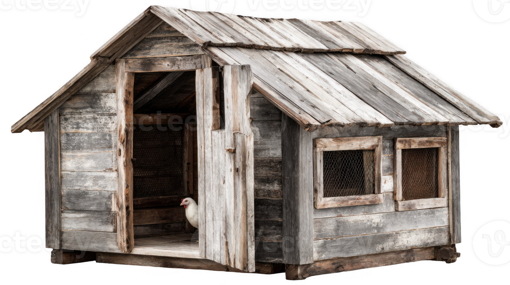 Old wooden chicken coop with open door and white hen inside on transparent background png