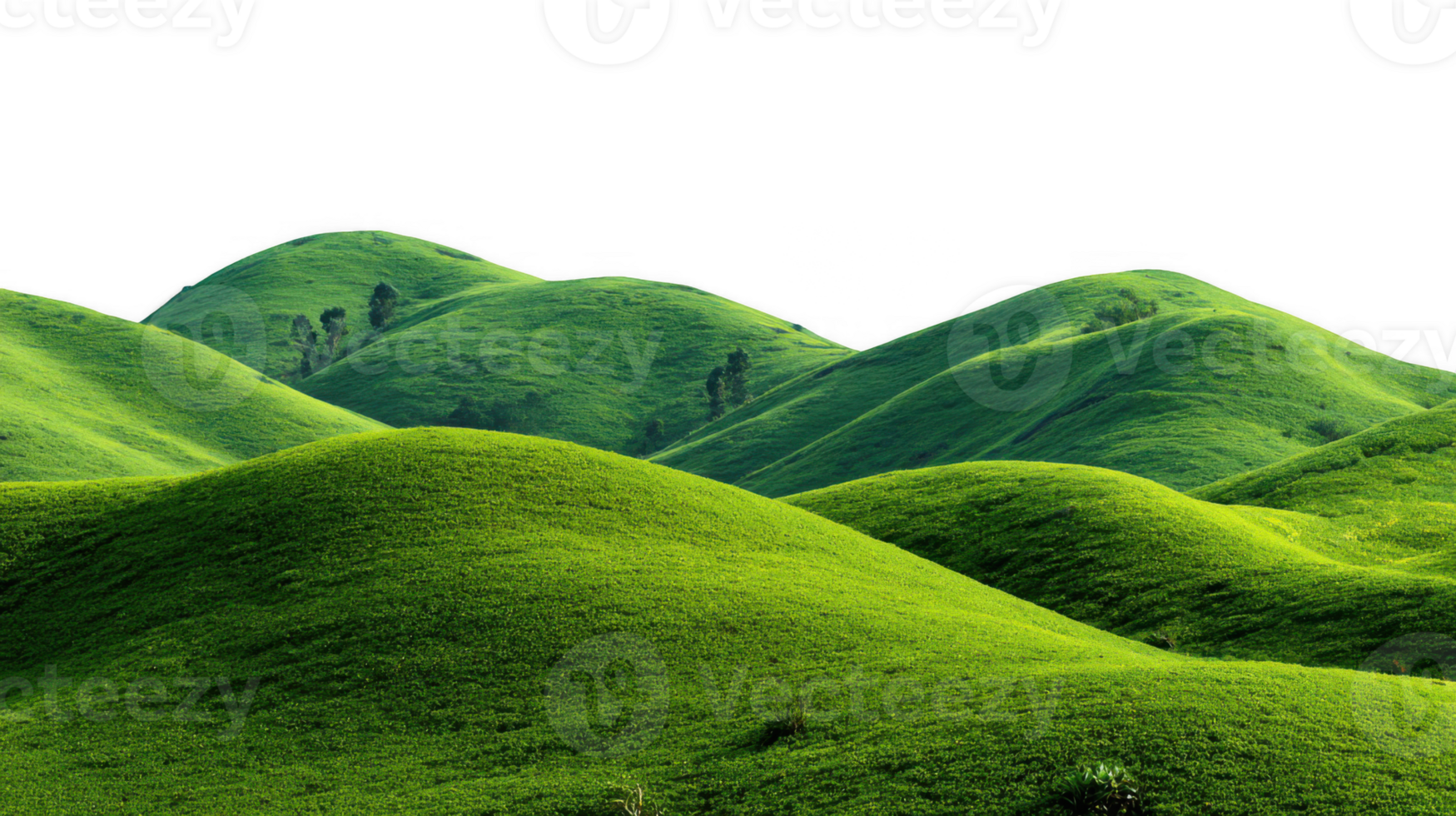 Green rolling hills covered in lush grass with transparent background png