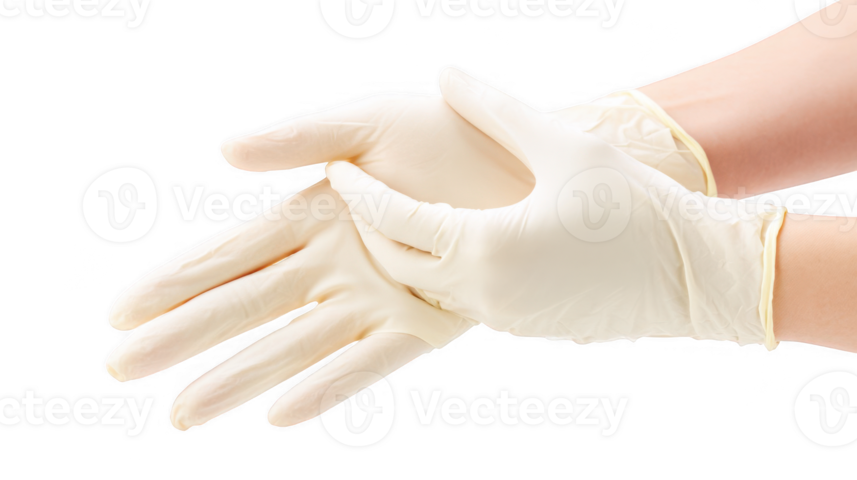 Doctor wearing sterile latex gloves on transparent background png