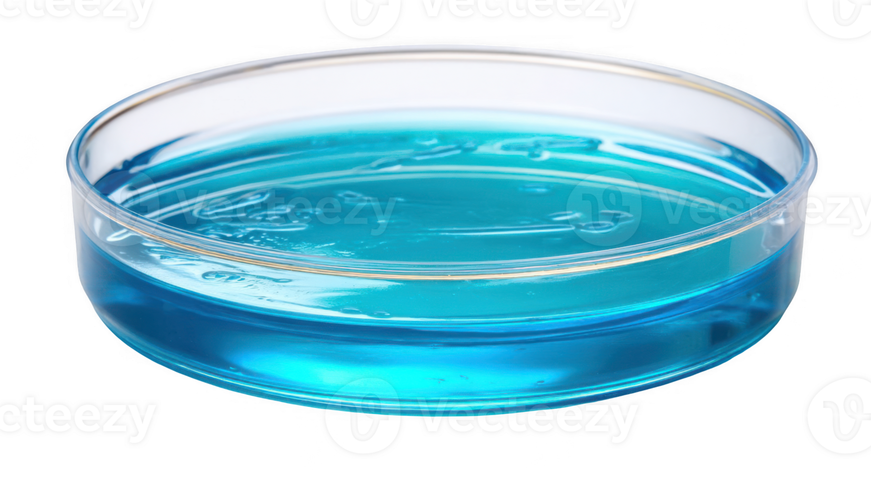 Petri dish with blue culture medium on transparent background png