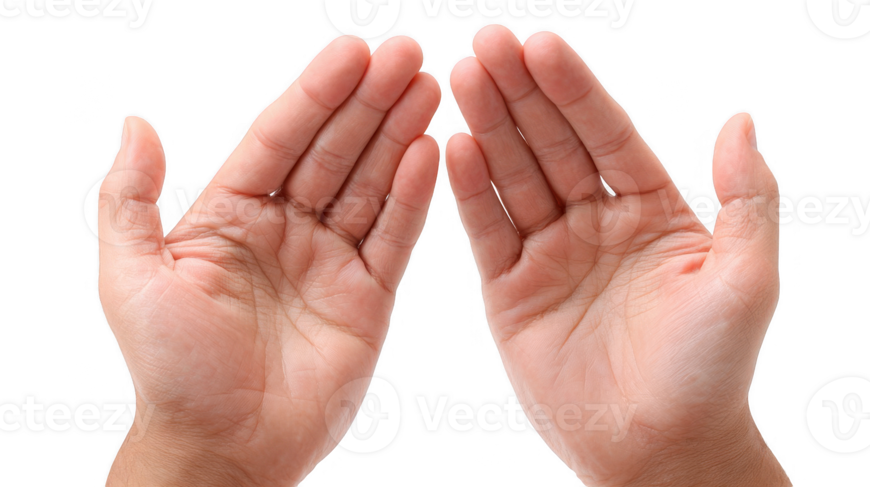 Two open hands showing palms facing each other on transparent background png