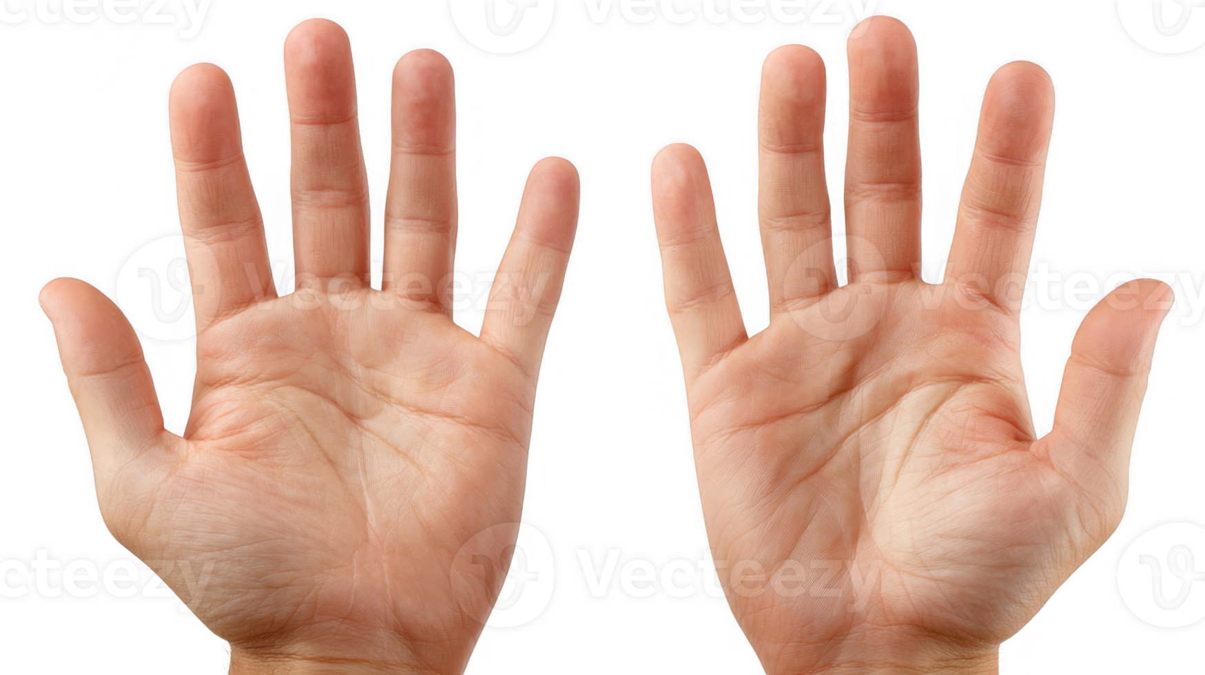 Two open hands showing palms on transparent background png